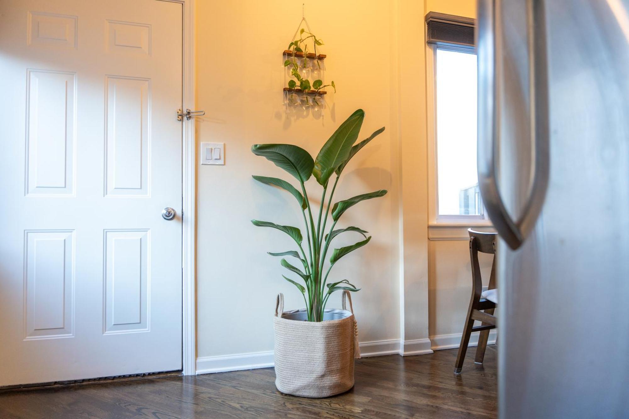 Bucktown Private Condo Chicago Zewnętrze zdjęcie